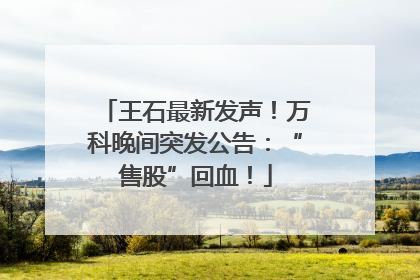 王石最新发声！万科晚间突发公告：“售股”回血！