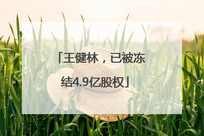 王健林，已被冻结4.9亿股权