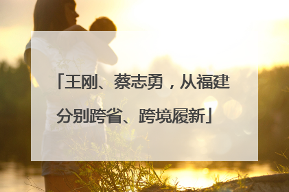 王刚、蔡志勇，从福建分别跨省、跨境履新