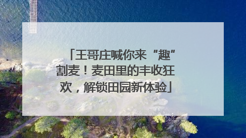 王哥庄喊你来“趣”割麦！麦田里的丰收狂欢，解锁田园新体验