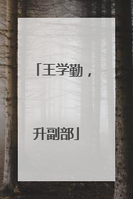 王学勤，升副部