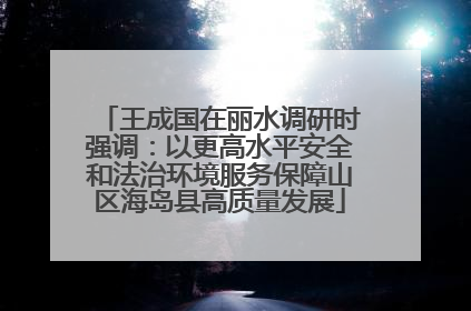 王成国在丽水调研时强调：以更高水平安全和法治环境服务保障山区海岛县高质量发展