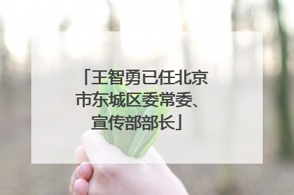 王智勇已任北京市东城区委常委、宣传部部长
