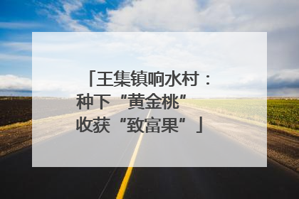 王集镇响水村：种下“黄金桃” 收获“致富果”