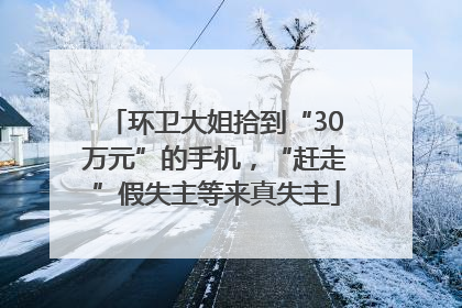 环卫大姐拾到“30万元”的手机，“赶走”假失主等来真失主