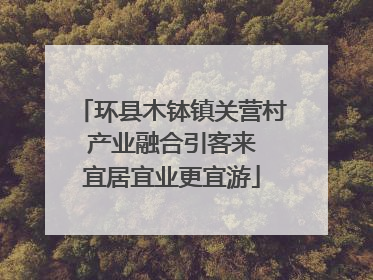 环县木钵镇关营村 产业融合引客来 宜居宜业更宜游