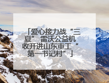 爱心接力战“三夏” 雷沃公益机收开进山东重工“第一书记村”