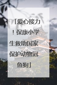 爱心接力！保康小学生救助国家保护动物冠鱼狗