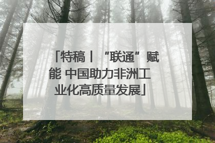 特稿丨“联通”赋能 中国助力非洲工业化高质量发展