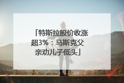 特斯拉股价收涨超3%：马斯克父亲劝儿子低头