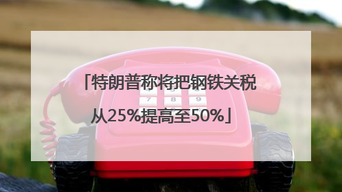 特朗普称将把钢铁关税从25%提高至50%