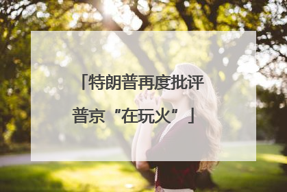 特朗普再度批评普京“在玩火”