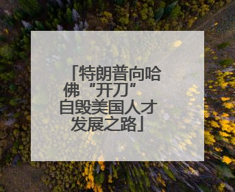 特朗普向哈佛“开刀” 自毁美国人才发展之路
