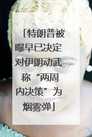 特朗普被曝早已决定对伊朗动武 称“两周内决策”为烟雾弹