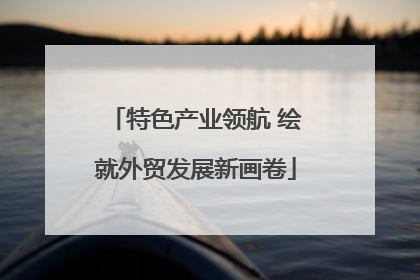 特色产业领航 绘就外贸发展新画卷