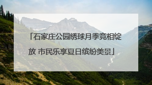 石家庄公园绣球月季竞相绽放 市民乐享夏日缤纷美景