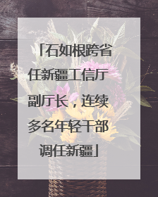石如根跨省任新疆工信厅副厅长，连续多名年轻干部调任新疆