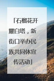 石榴花开耀白塔，新街口举办民族共同体宣传活动