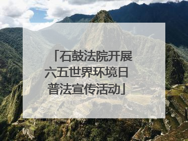 石鼓法院开展六五世界环境日普法宣传活动