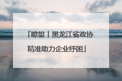 瞭望丨黑龙江省政协精准助力企业纾困