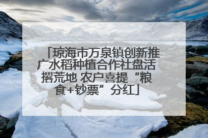 琼海市万泉镇创新推广水稻种植合作社盘活撂荒地 农户喜提“粮食+钞票”分红