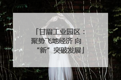 甘眉工业园区：聚势飞地经济 向“新”突破发展
