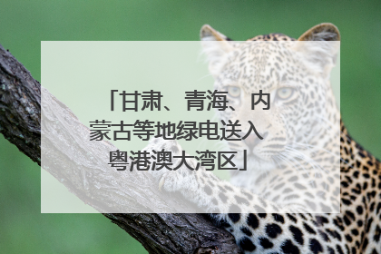 甘肃、青海、内蒙古等地绿电送入粤港澳大湾区