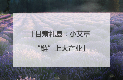 甘肃礼县：小艾草“链”上大产业