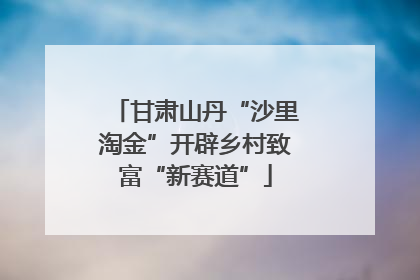 甘肃山丹“沙里淘金”开辟乡村致富“新赛道”