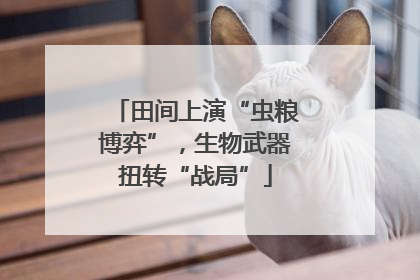 田间上演“虫粮博弈”，生物武器扭转“战局”