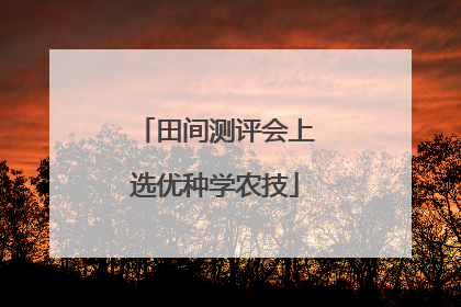 田间测评会上选优种学农技
