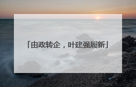由政转企，叶建强履新