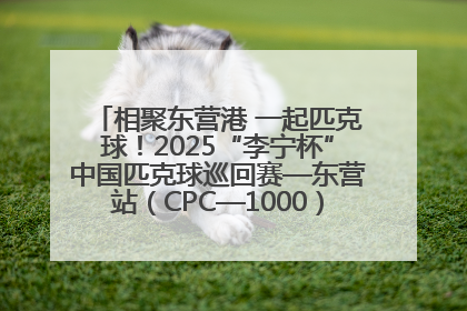 相聚东营港 一起匹克球！2025“李宁杯”中国匹克球巡回赛—东营站（CPC—1000）暨“好运山东”黄河口匹克球公开赛落幕
