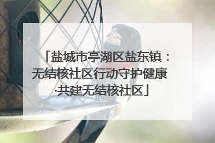 盐城市亭湖区盐东镇：无结核社区行动守护健康 ·共建无结核社区