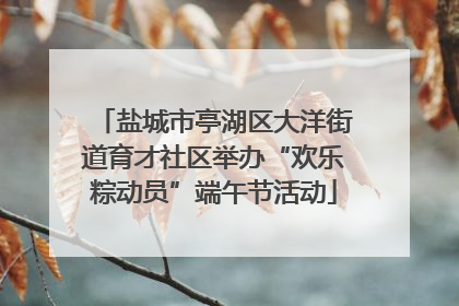 盐城市亭湖区大洋街道育才社区举办“欢乐粽动员”端午节活动