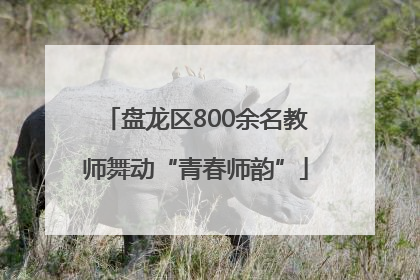 盘龙区800余名教师舞动“青春师韵”