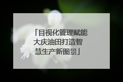 目视化管理赋能 大庆油田打造智慧生产新图景