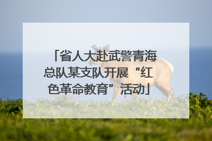 省人大赴武警青海总队某支队开展“红色革命教育”活动