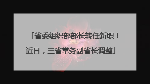 省委组织部部长转任新职！近日，三省常务副省长调整