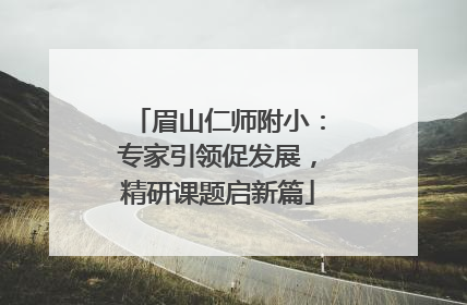 眉山仁师附小：专家引领促发展，精研课题启新篇