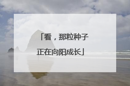 看，那粒种子正在向阳成长