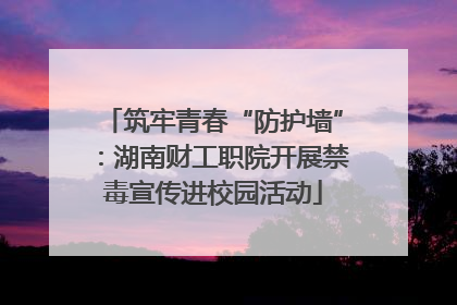筑牢青春“防护墙”：湖南财工职院开展禁毒宣传进校园活动