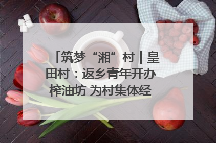 筑梦“湘”村｜皇田村：返乡青年开办榨油坊 为村集体经济“加油”