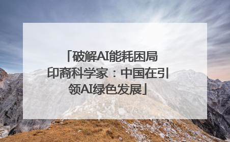 破解AI能耗困局 印裔科学家：中国在引领AI绿色发展