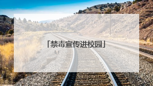 禁毒宣传进校园