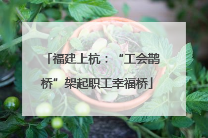福建上杭：“工会鹊桥”架起职工幸福桥
