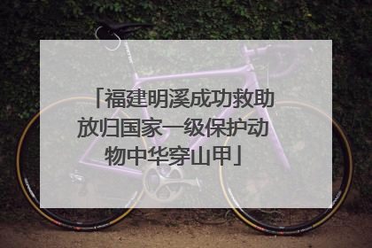 福建明溪成功救助放归国家一级保护动物中华穿山甲
