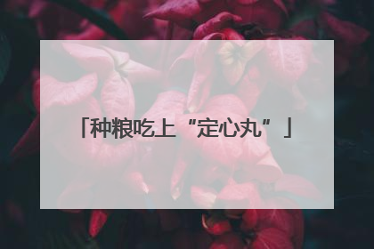 种粮吃上“定心丸”