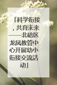 科学衔接，共育未来——北碚区龙凤教管中心开展幼小衔接交流活动