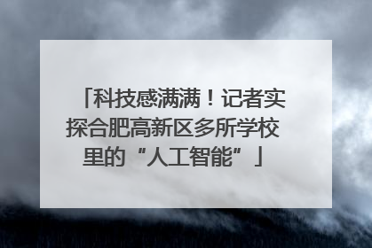 科技感满满！记者实探合肥高新区多所学校里的“人工智能”